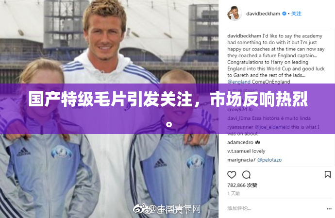 国产特级毛片引发关注，市场反响热烈。