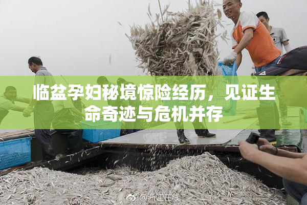 临盆孕妇秘境惊险经历，见证生命奇迹与危机并存
