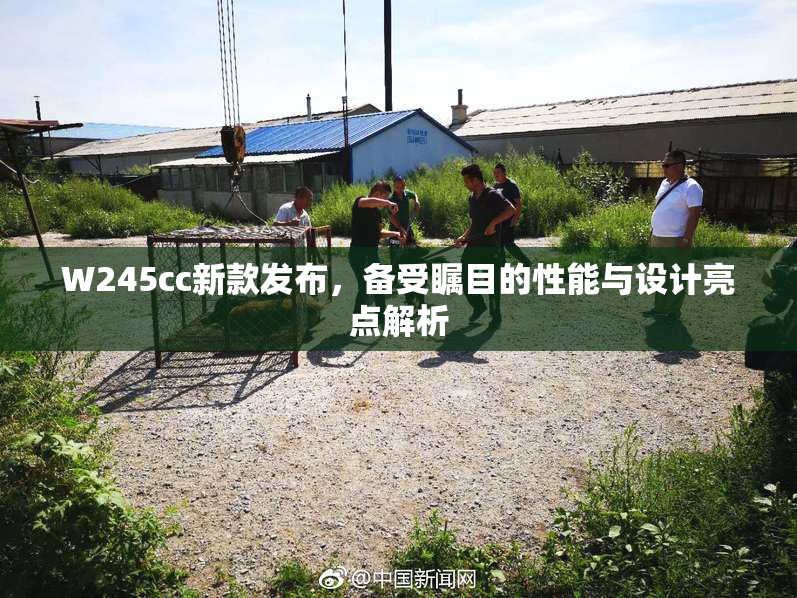 W245cc新款发布，备受瞩目的性能与设计亮点解析