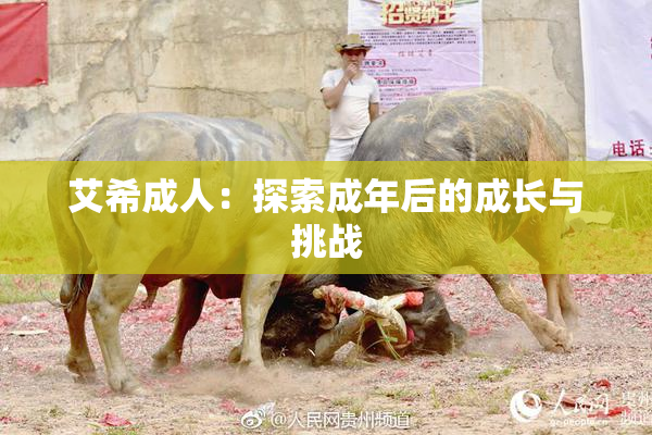 艾希成人：探索成年后的成长与挑战