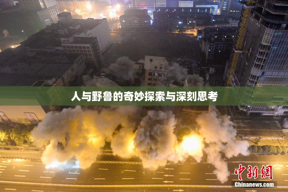 人与野鲁的奇妙探索与深刻思考