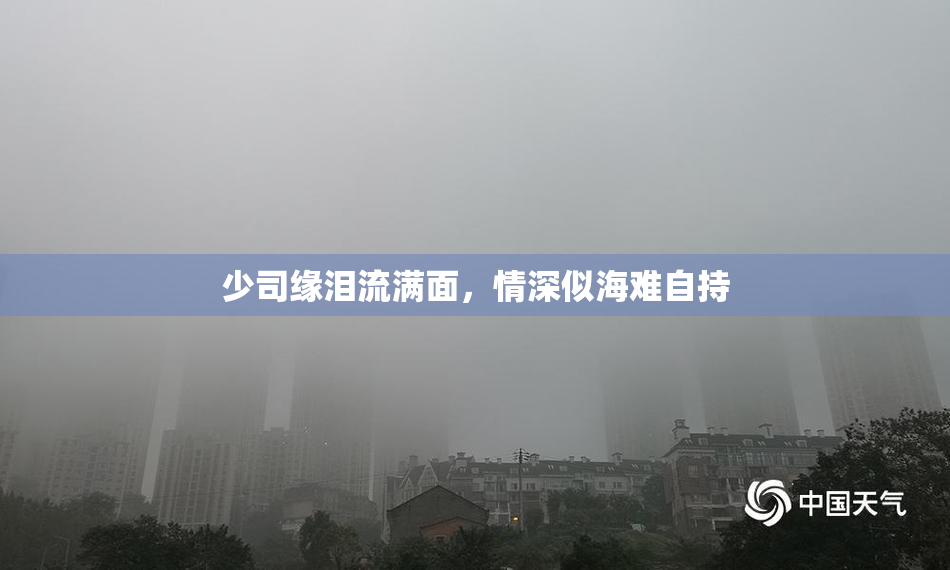 少司缘泪流满面，情深似海难自持