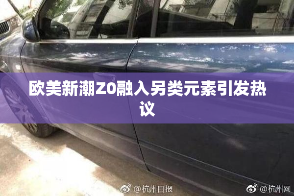 欧美新潮Z0融入另类元素引发热议