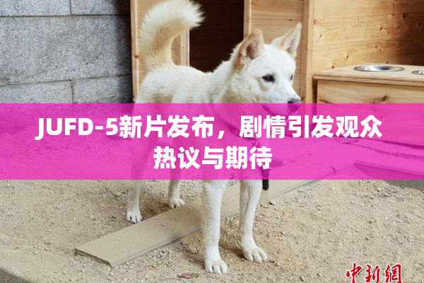 JUFD-5新片发布，剧情引发观众热议与期待