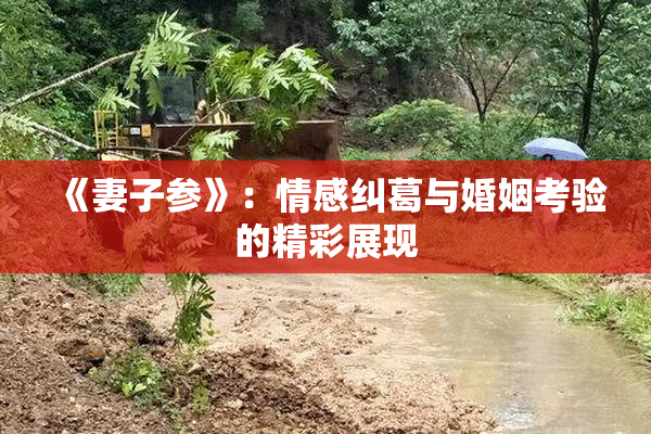 《妻子参》：情感纠葛与婚姻考验的精彩展现