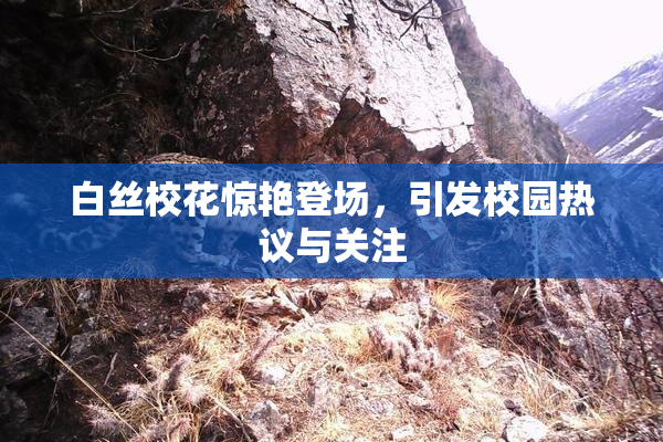 白丝校花惊艳登场，引发校园热议与关注
