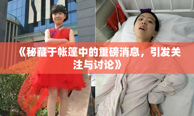 《秘藏于帐篷中的重磅消息，引发关注与讨论》