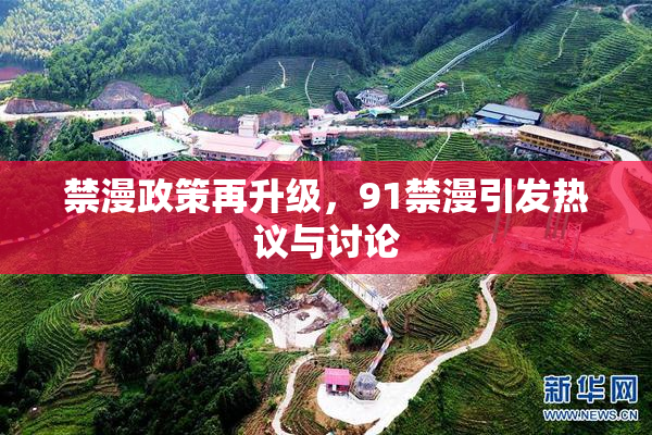 禁漫政策再升级，91禁漫引发热议与讨论