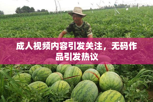成人视频内容引发关注，无码作品引发热议