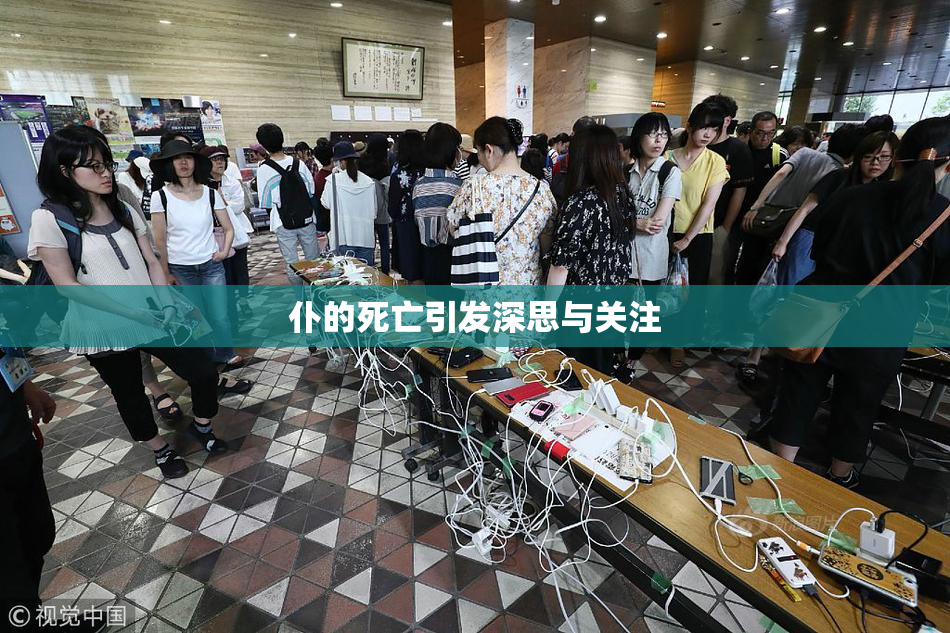 仆的死亡引发深思与关注