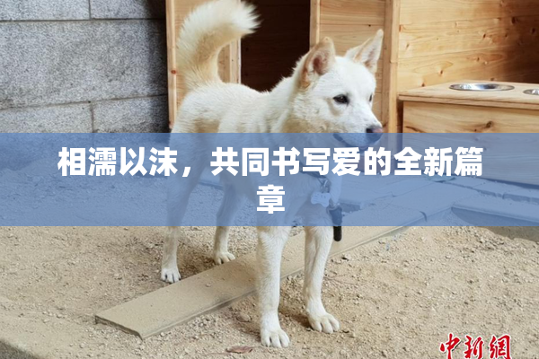 相濡以沫，共同书写爱的全新篇章