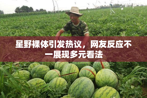星野裸体引发热议，网友反应不一展现多元看法
