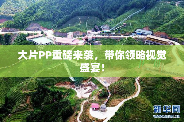 大片PP重磅来袭，带你领略视觉盛宴！