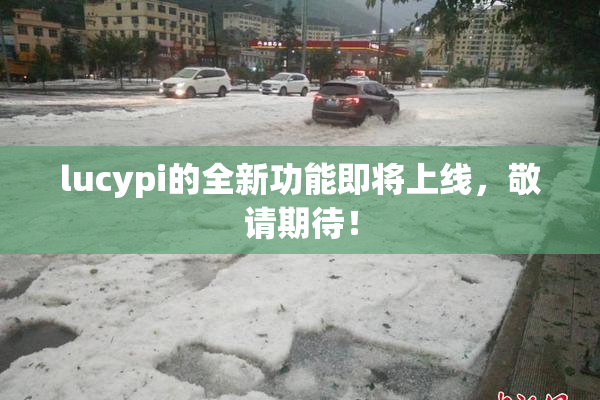 lucypi的全新功能即将上线，敬请期待！