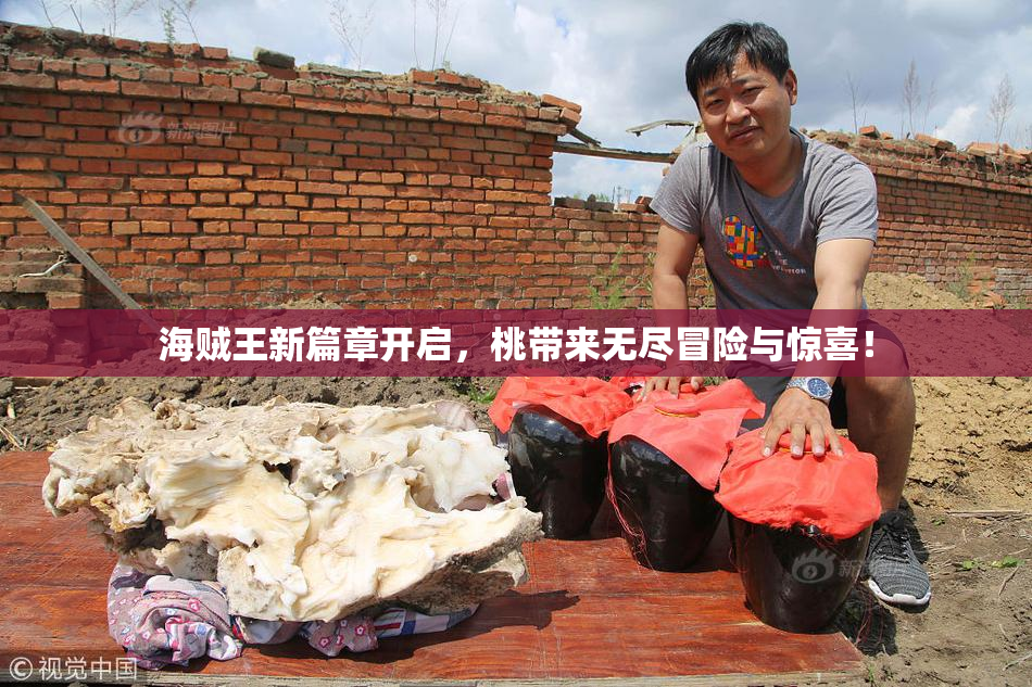 海贼王新篇章开启，桃带来无尽冒险与惊喜！