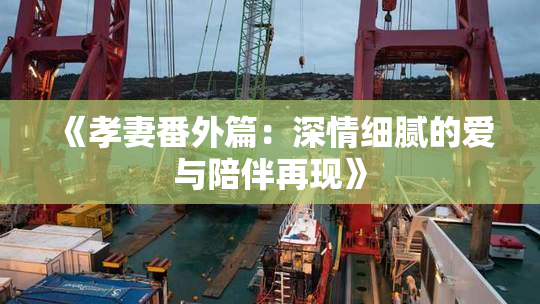 《孝妻番外篇：深情细腻的爱与陪伴再现》