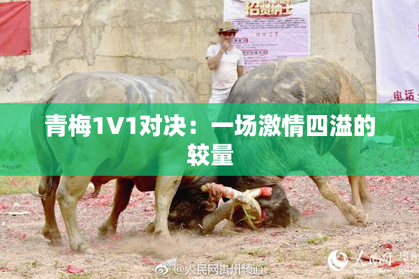 青梅1V1对决：一场激情四溢的较量