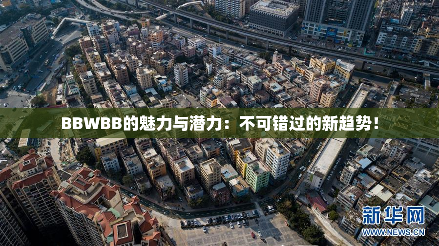 BBWBB的魅力与潜力：不可错过的新趋势！