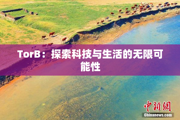 TorB：探索科技与生活的无限可能性