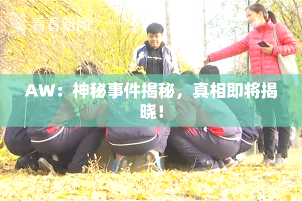 AW：神秘事件揭秘，真相即将揭晓！