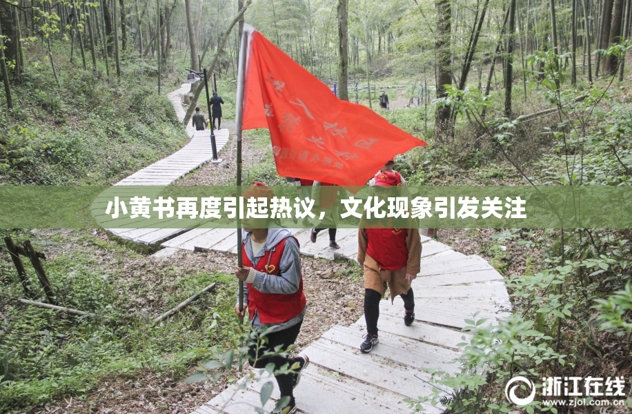 小黄书再度引起热议，文化现象引发关注