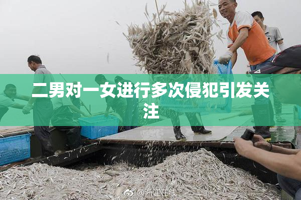 二男对一女进行多次侵犯引发关注