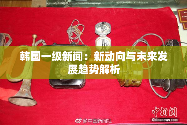 韩国一级新闻：新动向与未来发展趋势解析