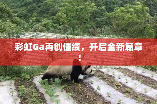 彩虹Ga再创佳绩，开启全新篇章！