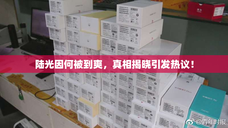 陆光因何被到爽，真相揭晓引发热议！