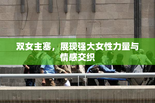 双女主塞，展现强大女性力量与情感交织