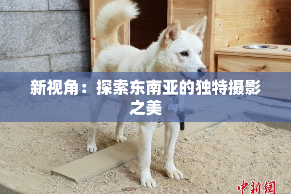 新视角：探索东南亚的独特摄影之美