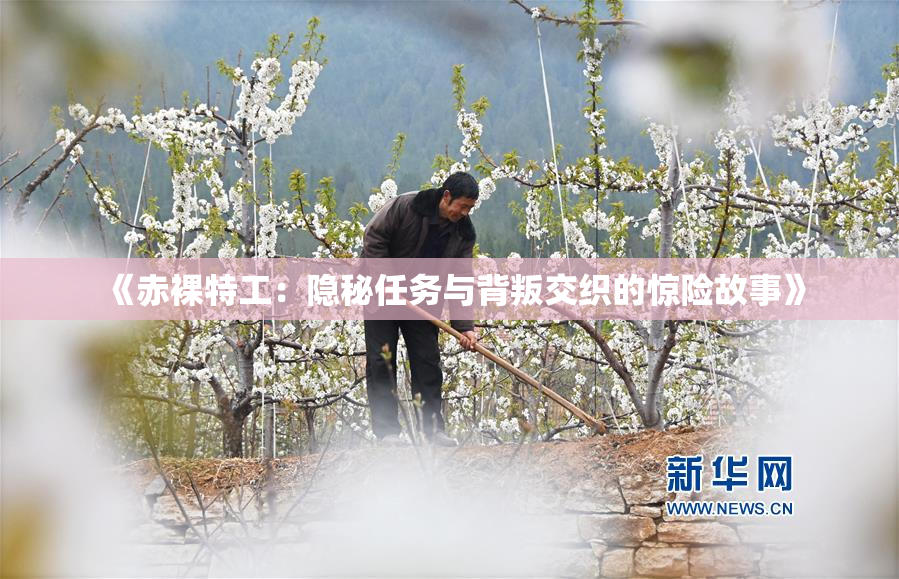 《赤裸特工：隐秘任务与背叛交织的惊险故事》