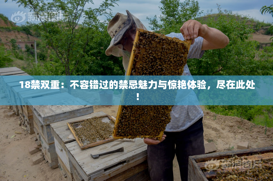 18禁双重：不容错过的禁忌魅力与惊艳体验，尽在此处！