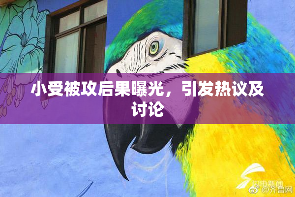 小受被攻后果曝光，引发热议及讨论