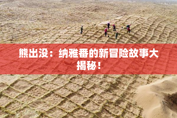 熊出没：纳雅番的新冒险故事大揭秘！