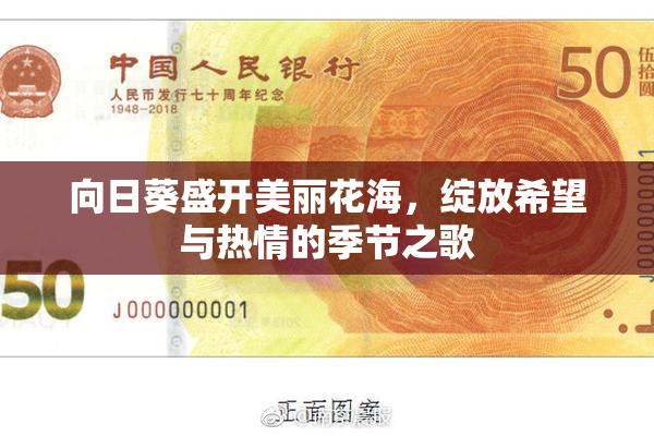 向日葵盛开美丽花海，绽放希望与热情的季节之歌