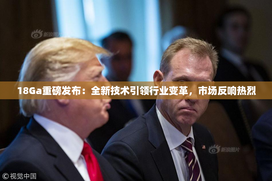 18Ga重磅发布：全新技术引领行业变革，市场反响热烈