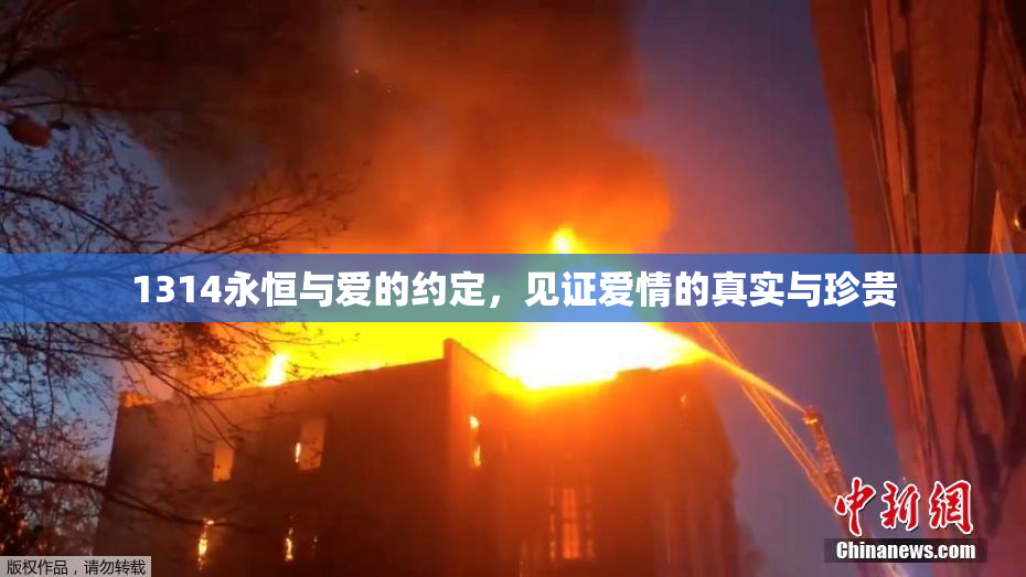 1314永恒与爱的约定，见证爱情的真实与珍贵