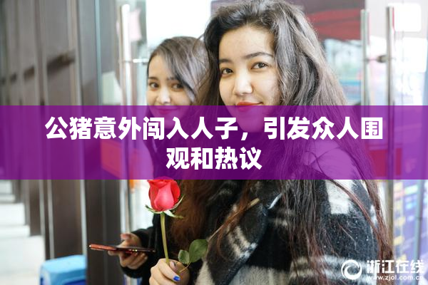 公猪意外闯入人子，引发众人围观和热议