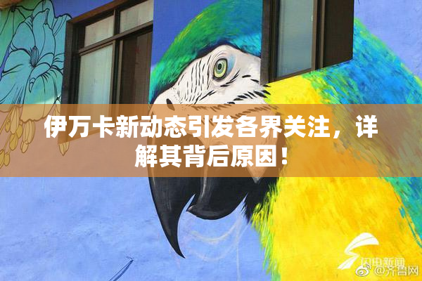伊万卡新动态引发各界关注，详解其背后原因！