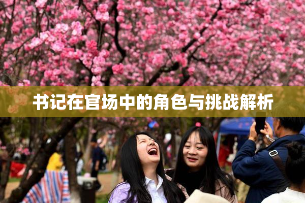 书记在官场中的角色与挑战解析