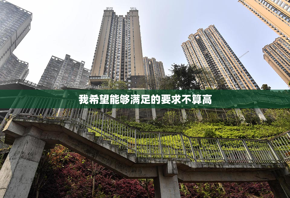 我希望能够满足的要求不算高