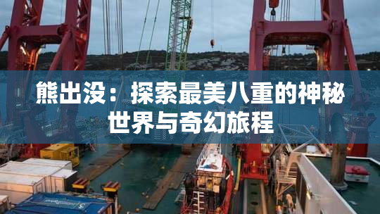 熊出没：探索最美八重的神秘世界与奇幻旅程