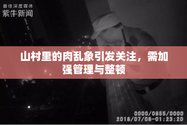 山村里的肉乱象引发关注，需加强管理与整顿