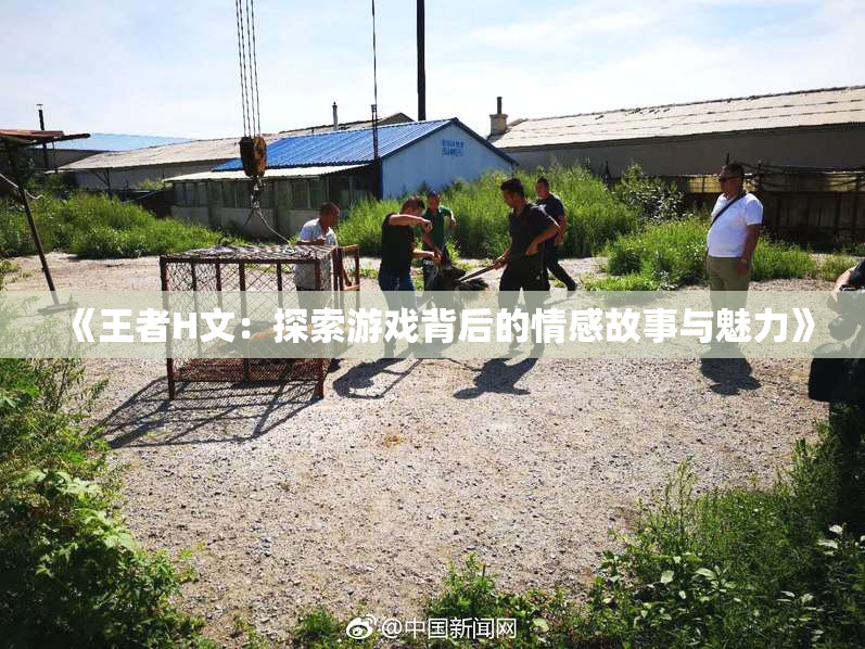 《王者H文：探索游戏背后的情感故事与魅力》
