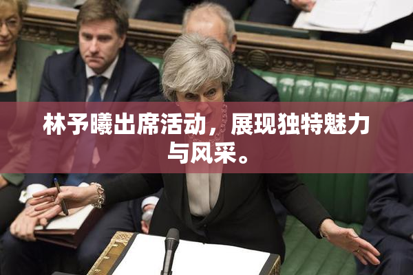 林予曦出席活动，展现独特魅力与风采。