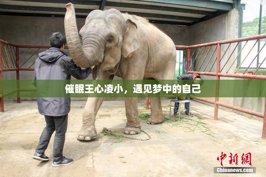 催眠王心凌小，遇见梦中的自己