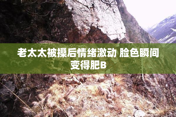 老太太被搡后情绪激动 脸色瞬间变得肥B