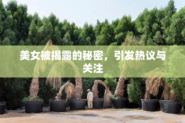 美女被揭露的秘密，引发热议与关注