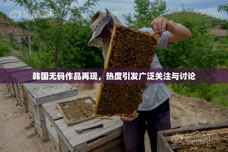 韩国无码作品再现，热度引发广泛关注与讨论